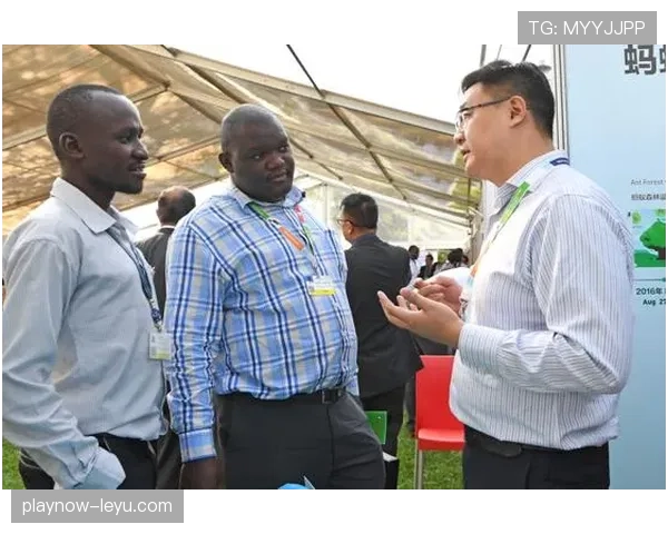 韦阿率队创历史大胜，非洲足球崛起引全球关注