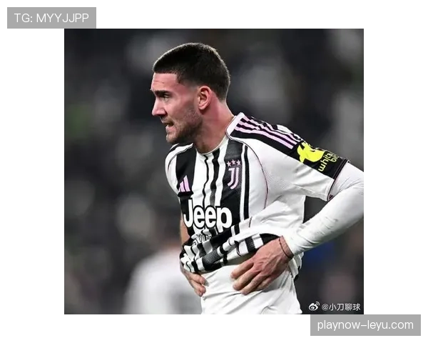 与顶级中锋竞争:弗拉霍维奇如何争夺地位 与顶级中锋竞争:弗拉霍维奇如何争夺地位