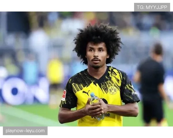 阿德耶米技术特点解析